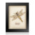 Framed Hand Embroidered Beaded Art - Dragonfly