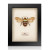 Framed Hand Embroidered Beaded Art - Bee