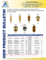 Safety Valves 