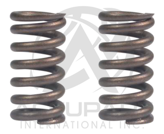 Wabco Pan 19/22 Air Brake - Spring