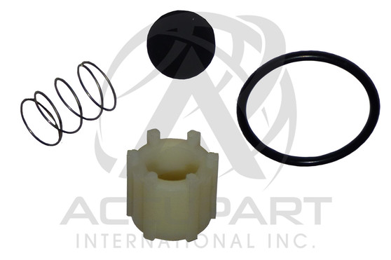 C/R238-G, KIT, SERVICE, CHECK VALVE