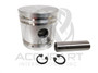 BENP230000, PISTON, TF300 W/PIN & LOCK STD.