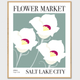 Flower Market - Salt Lake City, UT modern wall art poster prints feature the Utah state flower - Sego Lily.