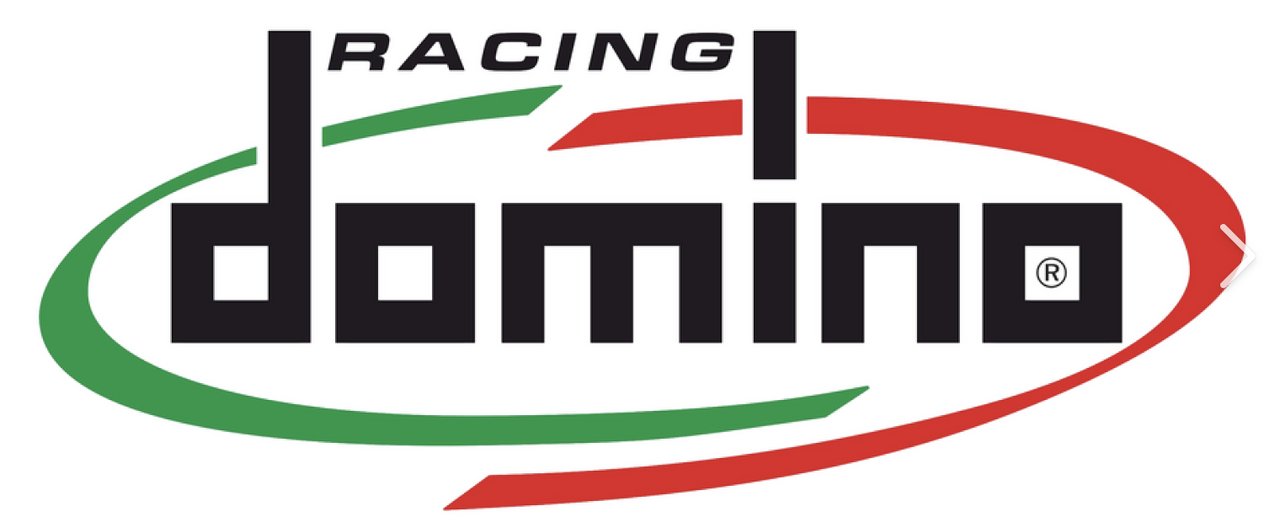 Domino Racing