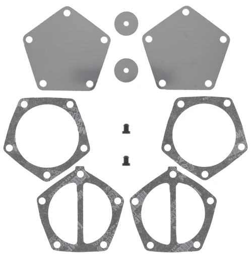 Fuel Pump Repair Kit Mikuni