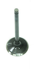 EXHAUST VALVE