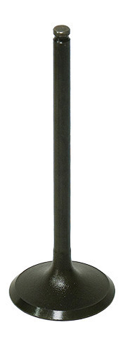 INTAKE VALVE