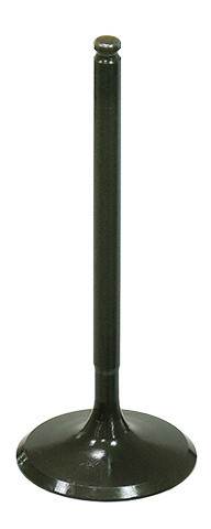 INTAKE VALVE