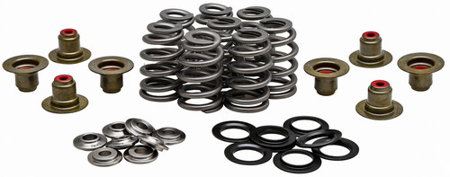 RACING VALVE SPRING KIT .625 LIFT TITANIUM RETAINERS