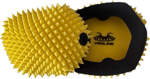 AIR FILTER PROLINE