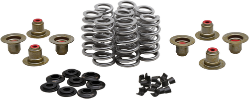 BEEHIVE VALVE SPRING KIT .640 LIFT  M8`17-24 NON VVT