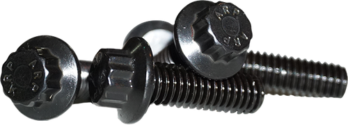 12 POINT FRONT ROTOR BOLTS BLACK  5/16-18X1