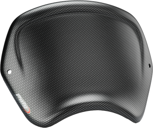 FRONT PLATE CARBON
