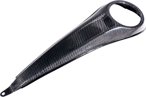 CARBON FIBER DASH FLH/FLT 23-25 (EX FLHR)