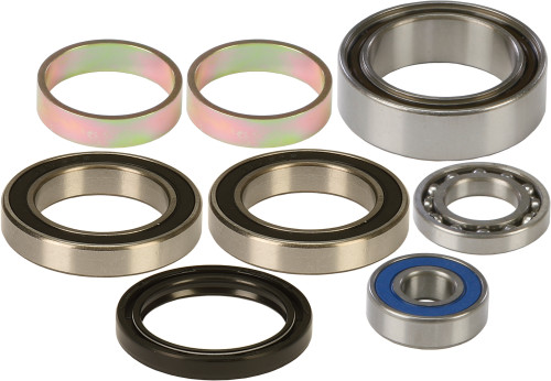 Chain Case Bearing & Seal Kit