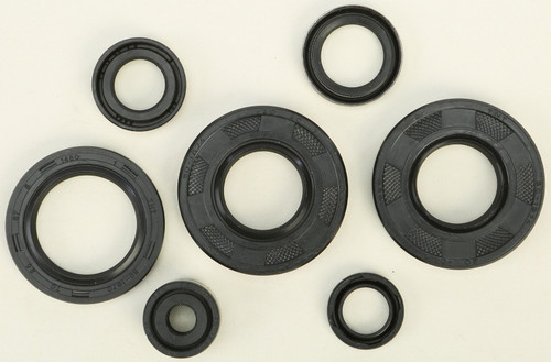 Oil Seal Set
