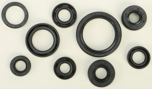 Oil Seal Set
