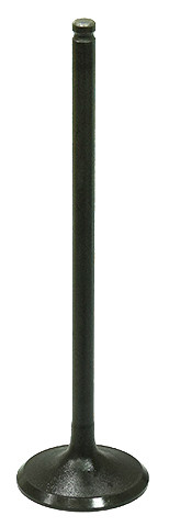 Intake Valve