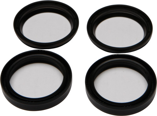 Fork & Dust Seal Wiper Kit
