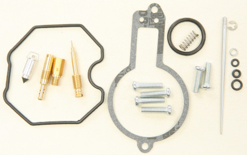 Bike Carburetor Rebuild Kit