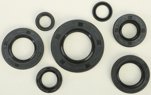 Oil Seal Set