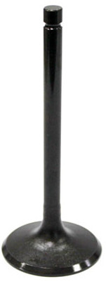 Intake Valve