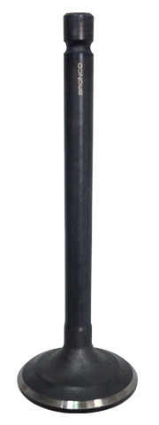 Exhaust Valve