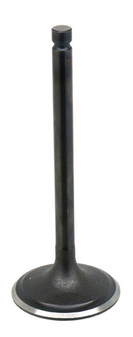 Intake Valve