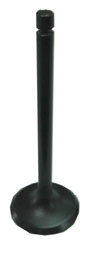 Exhaust Valve