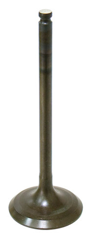 Intake Valve