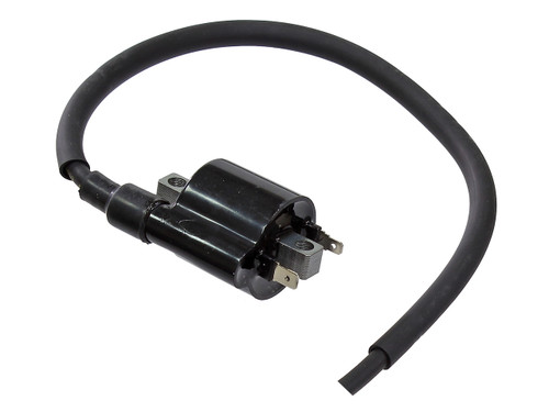 Atv Ignition Coil