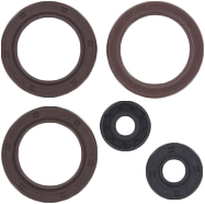 Engine Oil Seal Kit Can