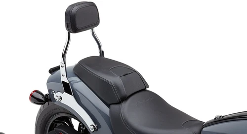 Detach Backrest Mini Chrome Chief 22