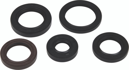 Oil Seal Kit