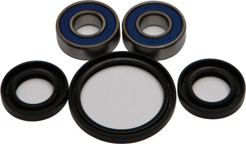 Wheel Bearing & Seal Kit