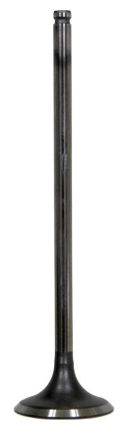 Intake Valve