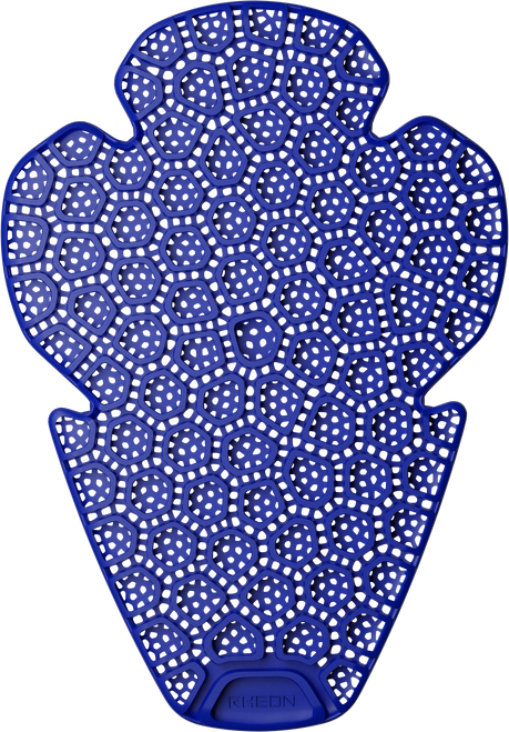 Level 1 Type B H/s Protection Pair