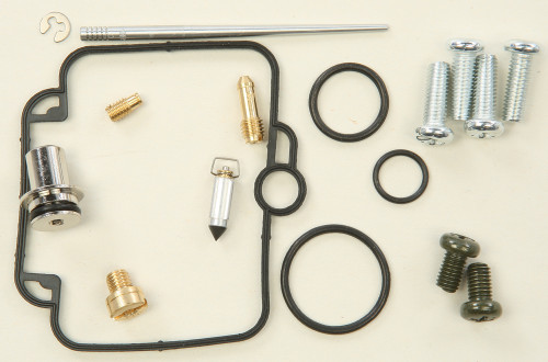 Carburetor Repair Kit