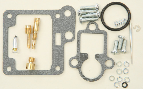 Carburetor Repair Kit