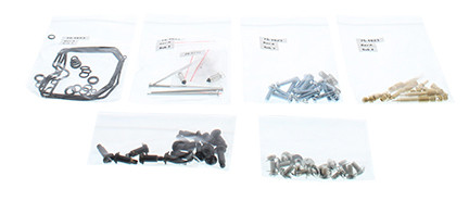 Bike Carburetor Rebuild Kit