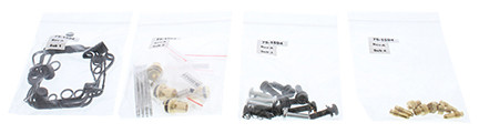 Bike Carburetor Rebuild Kit