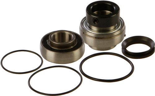 CHAIN CASE BEARING & SEAL KIT