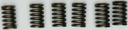 CLUTCH SPRINGS CSK131