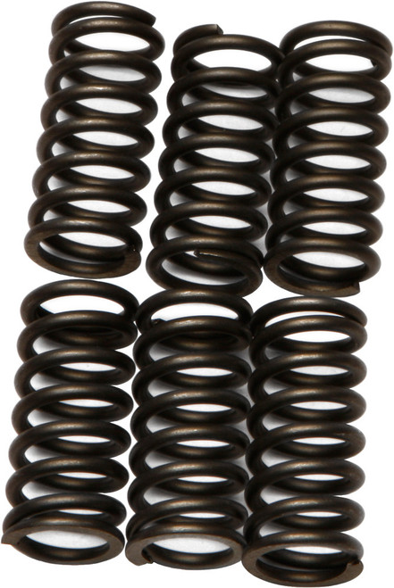 CLUTCH SPRINGS CSK80