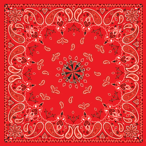 BANDANNA RED PAISLEY