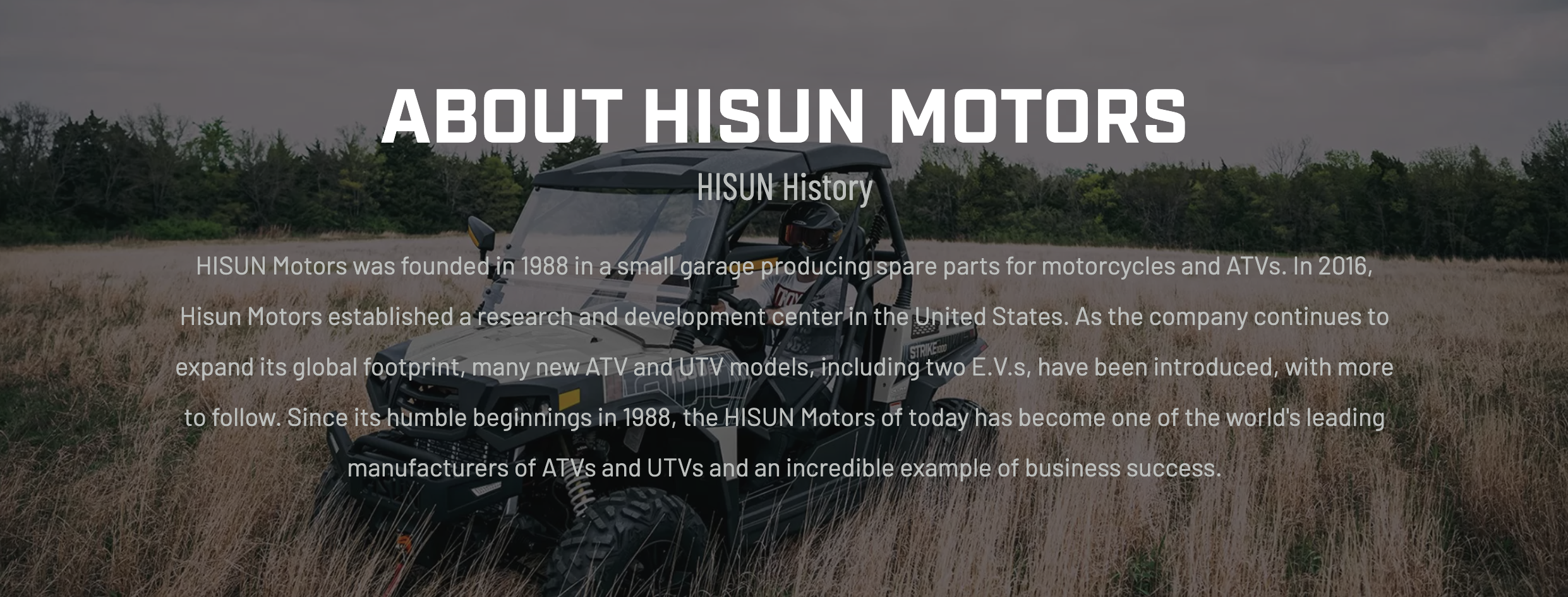 Hisun Motors UTV