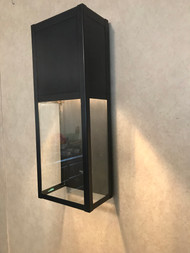 Oil Rubbed Bronze with clear glass.