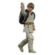 Sw Black Series TPM 6in Anakin Skywalker AF