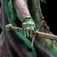 LOTR KING OF THE DEAD 1/6 SCALE STATUE