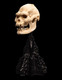 LOTR SKULL OF LURTZ STATUE